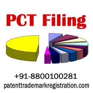 Patent Trademark Services: PCT Filing